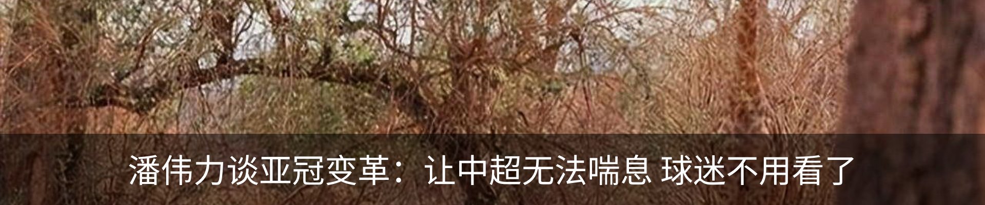 资讯动态