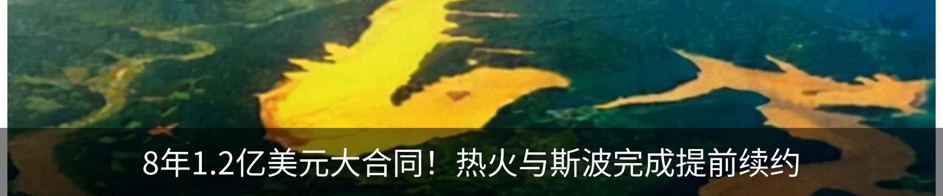 资讯动态