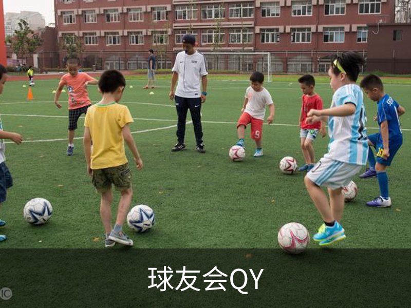 球友会QY简介