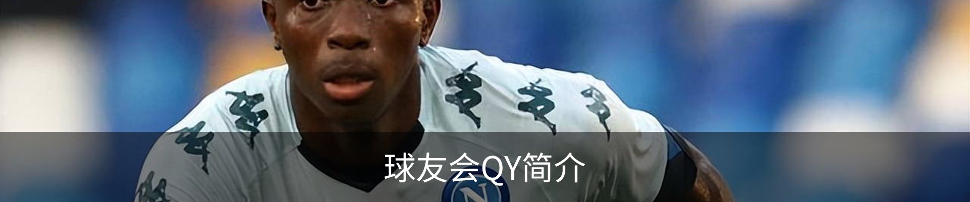 球友会QY简介